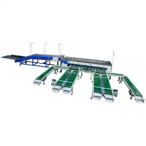 Fruit Vegetable Onion Leaf Cherry Tomato Plum Apple Avocado Size Grader Sorting Grading Line Machine and Clean