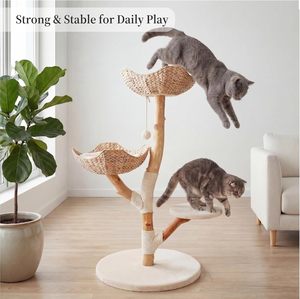 <span class=keywords><strong>Arbre</strong></span> <span class=keywords><strong>à</strong></span> <span class=keywords><strong>chat</strong></span> en bois massif au <span class=keywords><strong>design</strong></span> moderne, de luxe, fabriqué <span class=keywords><strong>à</strong></span> la main en bois de fruit, avec corde en sisal et perchoir en peluche - Product Image 5