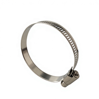Collier de serrage américain à vis sans fin 1/2 po en bande perforée SS304 avec tête hexagonale W4 pour raccords de pompe de filtration de piscine