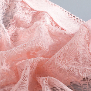 Woman's Lingerie Cute Lace <strong>Sheer</strong> Panties Nylon Knitted Briefs With Hollow Sexy Lace Plain Dyed Pantie <strong>Knickers</strong> QS113H176 - Product Image 4