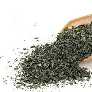 Thé aux feuilles <span class=keywords><strong>d</strong></span>'ortie naturelles broyées L099 Xun Ma Ye, très vendu, Folium Urticae, thé aux feuilles <span class=keywords><strong>d</strong></span>'ortie coupées - Product Image 3