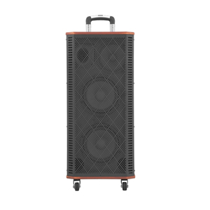 El Más Apreciado por los Clientes: Altavoz Portátil con Ruedas de 8 Pulgadas, Máquina de <span class=keywords><strong>Karaoke</strong></span>, Altavoz Inalámbrico para Fiestas - Product Image 6