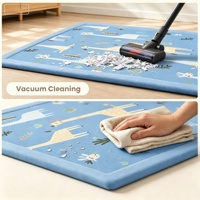Home Textile Thickened Soft Coral Velvet Eco Friendly Cushioned Non-Slip Backing Low Pile Carpet for Living Room
