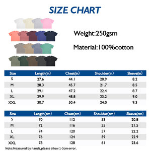 Camiseta de gran tamaño para hombre con lavado ácido y logotipo personalizado de algodón 100%, ropa de calle 250GSM, camiseta informal con cuello acanalado y hombros caídos - Product Image 6