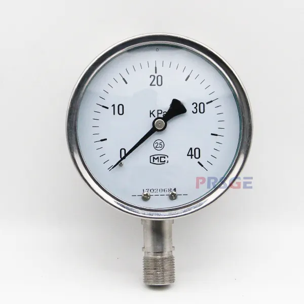 Trustworthy supplier air guages analog pressure gauge 100mm for low pressure all stainless steel
