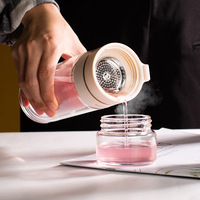 Meilleures ventes Bouteille à thé en verre à double paroi avec filtre Infuseur à thé Bouteilles
