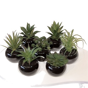 Bonsái Artificial de <span class=keywords><strong>Mango</strong></span> de Invierno, Suculenta Negra de PVC Suave con Plato, Decoración para el Hogar, Oficina, Escritorio, Mini Adorno, Altura 10-17cm, Múltiples Unidades - Product Image 5