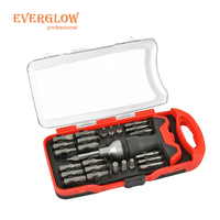 EVERGLOW Juego de Herramientas de Precisión de Alto Rendimiento, 30 Piezas, Material CRV, Destornillador de Trinquete con Mango en T, Puntas CRV Resistentes