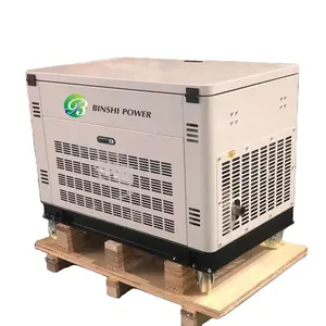 20KW LPG natural gas gasoline dual fuel generator with ATS