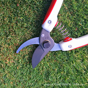 Cisailles de taille pour glycines de montagne, lame en acier inoxydable de 130 mm, diamètre de coupe de 20-30 mm, pour arbres fruitiers, jardinage et usage horticole - Product Image 4