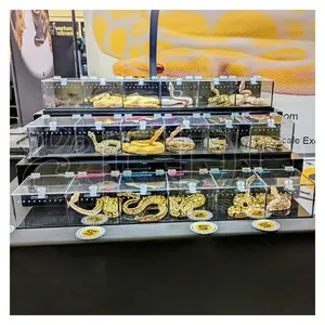 Linh hoạt Acrylic hiển thị trường hợp cho loài bò sát rắn mô hình phong cách cổ điển khác nhau cấu hình hộp cho triển lãm hiển thị hiển thị - Product Image 6