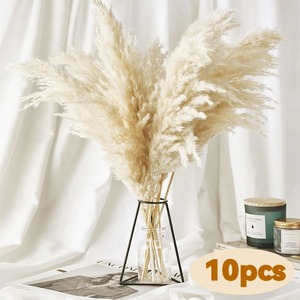Approvisionnement direct usine : Grand <span class=keywords><strong>bouquet</strong></span> <span class=keywords><strong>de</strong></span> pampas artificiel en soie, herbe <span class=keywords><strong>de</strong></span> la pampa séchée naturelle, 60 cm, blanche, longue, fleur naturelle séchée - Product Image 4