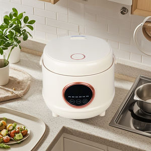 Mini-cuiseur à riz électrique numérique automatique en gros d'usine avec tasse doseuse, design portable, capacité 4L, cuve intérieure antiadhésive - Product Image 6