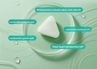 Offre Spéciale : Comprimés Effervescents pour Soins Bucco-Dentaires, Prébiotiques, Calcium, Vitamine D, Santé Digestive, Haleine Fraîche, Polyphénols de Matcha