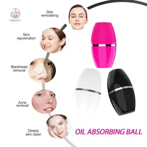 Supplier Direct Supply Volcanic Rock Oil Absorbing Ball Facial Oil Removal Volcano Oil-absorbing Stick