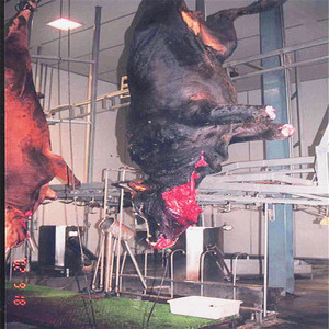 Nhà Máy Giá Gia Súc Giết Mổ Thịt Bò Thịt Dây Chuyền Chế Biến Ox Bull Giết Mổ Thiết Bị Nhà - Product Image 2