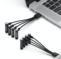 De litio USB recargable AA/AAA batería