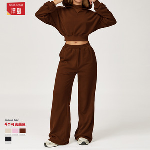 Ensemble de sweat-shirts pour femmes Disko Sport, en polaire, couleur unie, manches longues, vêtements décontractés pour l'extérieur, automne-hiver, coupe ample, vêtements de sport TZ4507 - Product Image 1