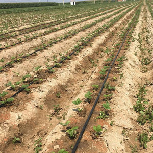 Линия по производству труб для капельного орошения теплицы толщиной 0,2 мм-0,4 мм пластмассовый патч 1 дюйм шланг с лентой для капельного орошения - Product Image 4