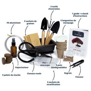 Le kit d'outils de bonsaï de qualité supérieure avec plantes naturelles comprend de petits ciseaux à bonsaï Outils d'<span class=keywords><strong>engrais</strong></span> Utilisation du sol suspendu pour la décoration intérieure - Product Image 4
