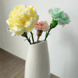 HUAZHIYUAN Diseño Floral Macaron Colores Pulverización Pared Pequeña Telón de Fondo Navidad Boda Decoración Caja Floral Aerosoles Floristas Regalos - Product Image 4