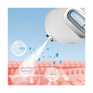 Handheld Beauty Machine Water Mist Sprayer Ionic Oxygen Hydrogen Replenishment Nano Mist <strong>Vaporizer</strong> - Product Image 6