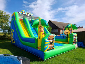 Toboggans gonflables, aires de jeux gonflables et pingouins de <span class=keywords><strong>Madagascar</strong></span>. - Product Image 3