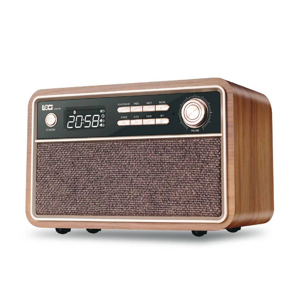 Portable stereo BT speaker with FM radio / USB & micro SD playback