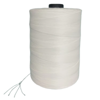Vente en gros 100% polyester gros cônes Machine à coudre fil 12/4 20/4 fil plus proche pour sac haute ténacité et résistance