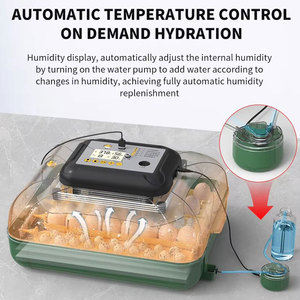 Ferme avicole incubateurs à œufs éclosoir capacité 30 œufs <span class=keywords><strong>machine</strong></span> à couver les œufs de <span class=keywords><strong>poussin</strong></span> - Product Image 5