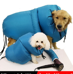 KINGTALE-Séchoir à poils <span class=keywords><strong>pour</strong></span> <span class=keywords><strong>chien</strong></span>, séchoir à poils <span class=keywords><strong>pour</strong></span> animaux de compagnie, outil professionnel de séchage rapide et facile - Product Image 2