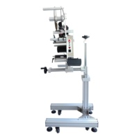 SHENGLONG – machine d'étiquetage de surface plate automatique SL-150, pour boîte de sacs en plastique, visage plat avec numéro de lot, imprimante de codes-barres
