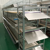 Cages à poulets pour pondeuses, cages automatiques de type H pour volailles pondeuses