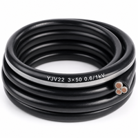 Câble d'alimentation blindé en cuivre à grande section YJV22 0,6/1 kV 3*50 mm², isolé XLPE pour courant élevé 3*50 mm²