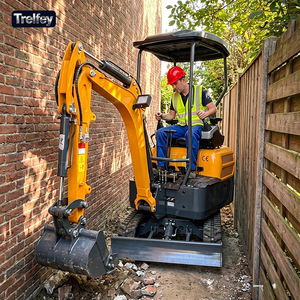 <span class=keywords><strong>Mini</strong></span>-excavatrice sur chenilles de 2 tonnes CE EPA Euro 5 pour travaux extérieurs, démolition de murs en pierre et de bases de fours à pizza, usage domestique - Product Image 1