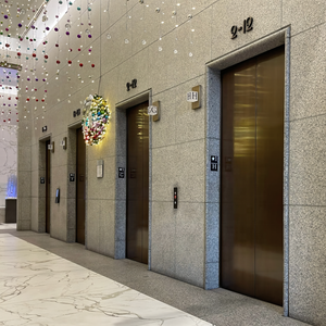Высокоскоростной коммерческий лифт для отелей и квартир, Энергоэффективный Лифт из Китая - Product Image 2