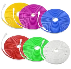 Tira de luces de neón de PVC Flexible, tira de luces LED RGB impermeable de 12V, 110V, 220V, muestra gratis, 6x12mm, 8x16mm, 2,5 cm, 1cm, SMD2835, 120LED