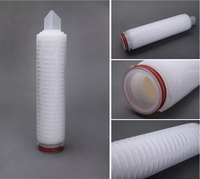 Cartouche filtrante à membrane PTFE hydrophobe 10 "X 69 mm Filtre 0.1 microns avec 222 ou 226 ou ailettes