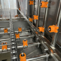 Industriële fruit- en groentewasmachine voor kratten, geschikt voor supermarkten (appels, sinaasappels, druiven etc.)