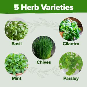 Pots en céramique de luxe <span class=keywords><strong>engrais</strong></span> d'herbes de bricolage de sol pour soucoupes et marqueurs en <span class=keywords><strong>bambou</strong></span> bricolage cadeaux de jardinage d'herbes organiques d'intérieur - Product Image 5