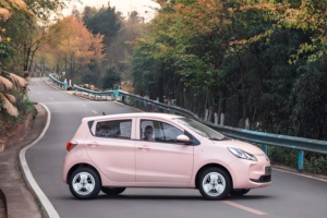 Design di fabbrica cerchioni ruota piccolo orso 13 14 15 16 17 18 pollici cerchi di colata su misura ruote forgiate di alta qualità e buon prezzo - Product Image 2