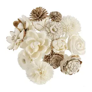 Diffuseur de roseaux séchés, bâtons de diffuseur d'huile de fleurs en bois Sola bâtons de diffuseur de roseaux blancs de qualité supérieure