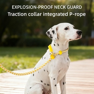 Accesorios de Mascotas Perros y Gatos de Moda de Nailon Lujo Juego de Correa y Collar Deslizante de Cuerda para Perros - Product Image 2
