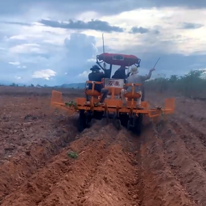 เครื่องจักร A planter La manioc En คู่ rangee, อะแดปเตอร์/ plat, การกระจาย avec - Product Image 4
