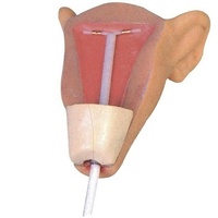 Appareil portatif à main pour hommes et femmes, modèle Compact à Insertion IUD, entraînement de démonstration d'électronique