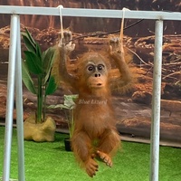 Décoration de parc jungle intérieur, singe bébé animatronique