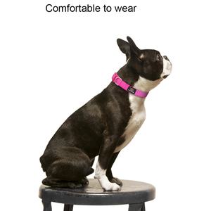 <span class=keywords><strong>Collar</strong></span> de nailon barato clásico personalizado para perros, hebilla de fabricante de productos para mascotas con cintas de plástico personalizadas, perro de paseo sólido - Product Image 3