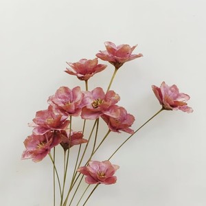 Bouquet naturel de fleurs séchées artisanales, clochettes argentées préservées, style Instagram, pour décoration de maison et arrangement en vase - Product Image 3