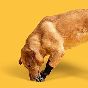 टिकाऊ क्लासिक शैली पालतू पाव रक्षक विरोधी पर्ची कुत्ते के मोजे, सुंदर नरम कपास के साथ विभिन्न पैटर्न - Product Image 3