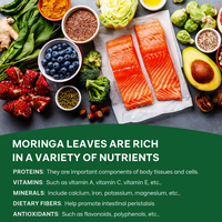 Té de Hojas de Moringa de Alta Calidad a Precio de Fábrica, Suministro de Fábrica de Hierbas Naturales, Té de Hojas, Empaque Personalizado, Hojas Secas de Moringa
